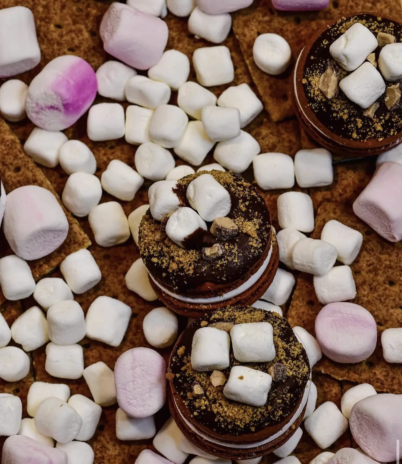 Chocolate macarons on graham crackers with mini marshmallows scattered across and on top