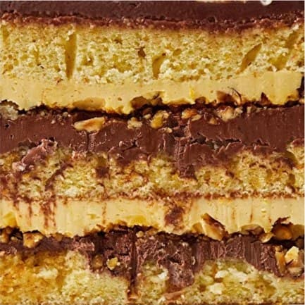 Cross-section of Chocolate-Orange cake