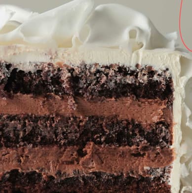 Cross-section of Nutella cake